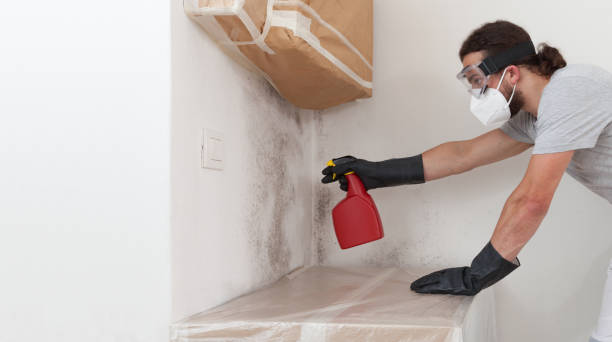 Professional Mold Remediation technician working in Newton Upper Falls, MA