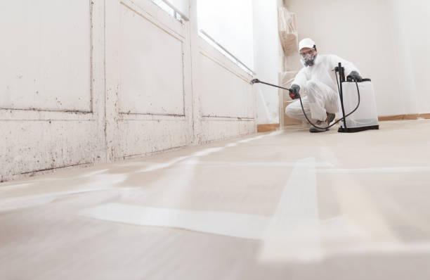 24/7 Emergency Mold Remediation experts in Newton Upper Falls, MA