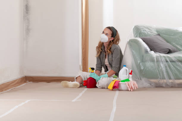 Trusted Mold Remediation service in Newton Upper Falls, MA - Cheap Mold Removal